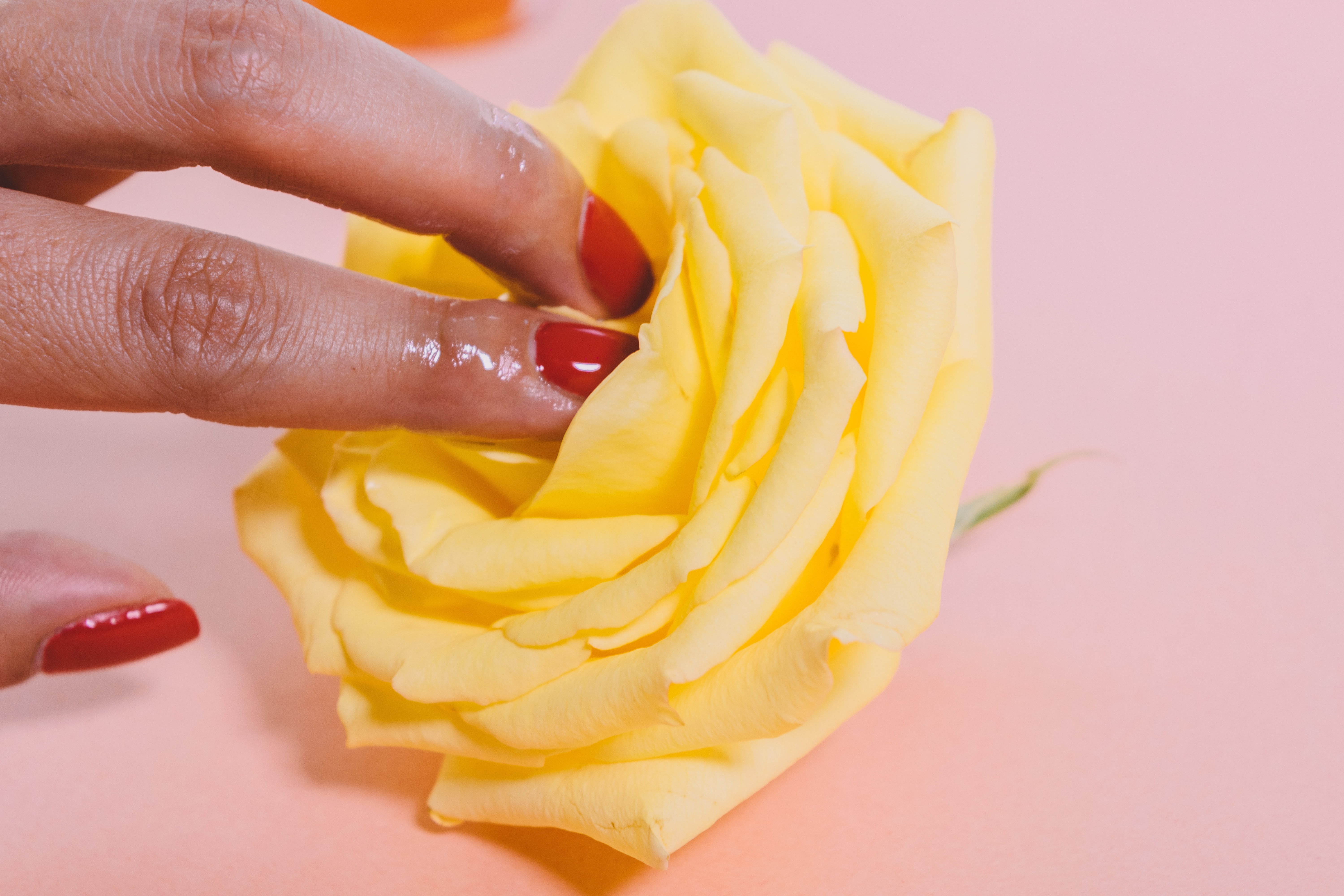 Person, die ihre nassen Finger in die Mitte einer gelben Rose steckt.